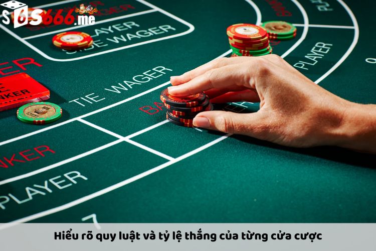 Hiểu rõ quy luật và tỷ lệ thắng của từng cửa cược