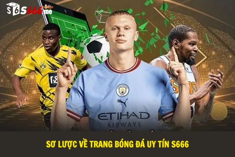 Sơ lược về trang bóng đá uy tín S666