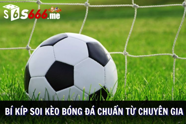 Chiến lược soi kèo bóng đá hiệu quả cao
