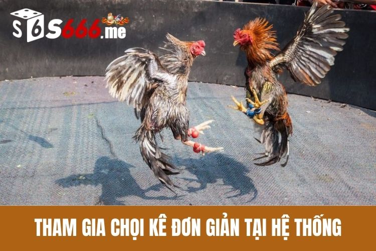 Tham gia chọi kê đơn giản tại hệ thống