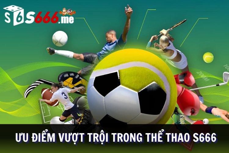 Các điểm mạnh nổi bật của sảnh thể thao tại S666