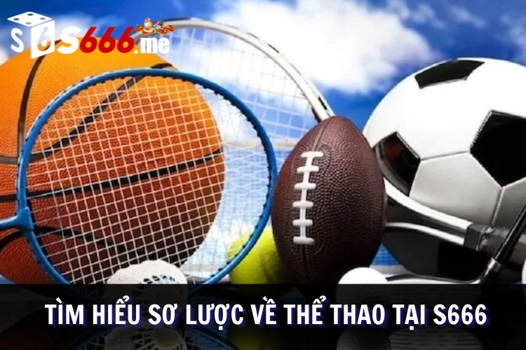 Sơ lược về sảnh thi đấu môn thể thao tại S666