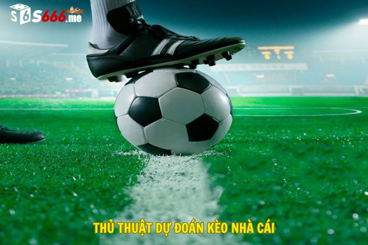 Thủ thuật dự đoán kèo nhà cái